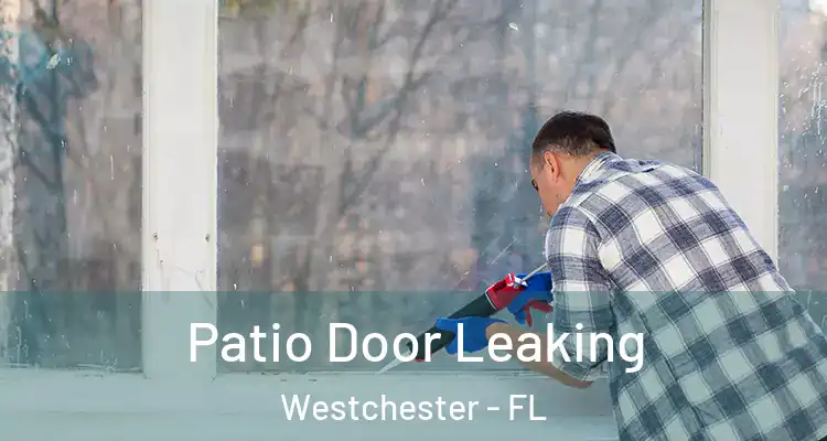  Patio Door Leaking Westchester - FL