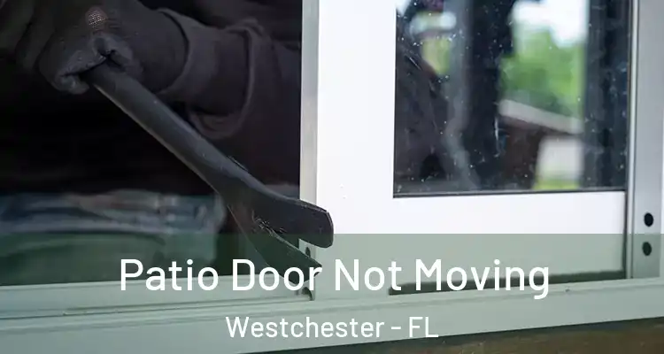  Patio Door Not Moving Westchester - FL
