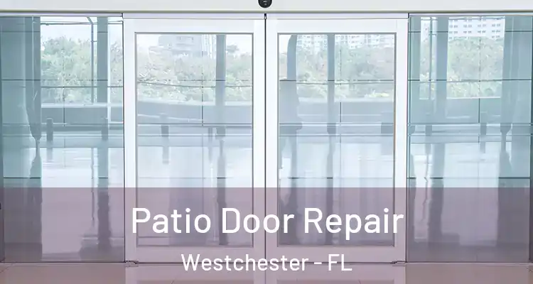  Patio Door Repair Westchester - FL