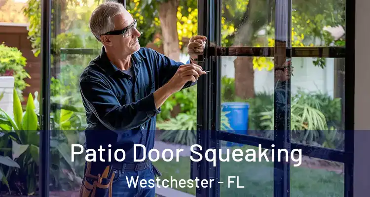  Patio Door Squeaking Westchester - FL