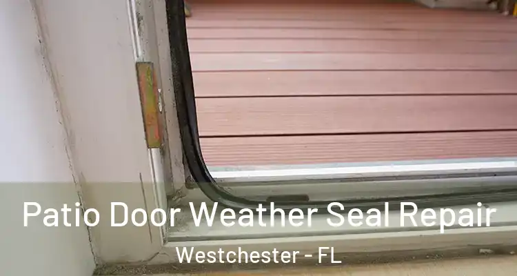  Patio Door Weather Seal Repair Westchester - FL