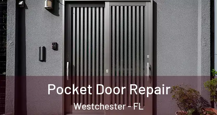  Pocket Door Repair Westchester - FL