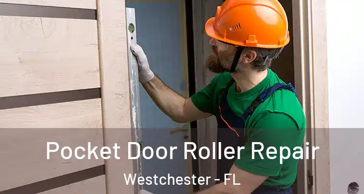  Pocket Door Roller Repair Westchester - FL