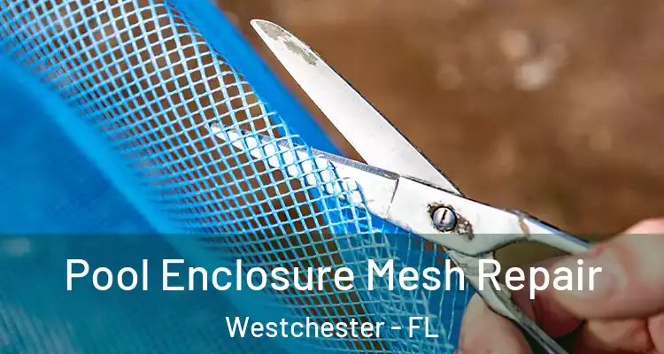  Pool Enclosure Mesh Repair Westchester - FL