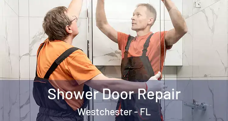  Shower Door Repair Westchester - FL