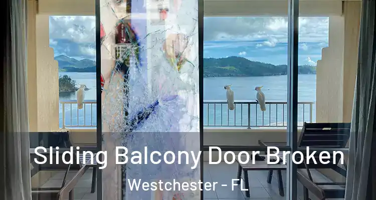  Sliding Balcony Door Broken Westchester - FL