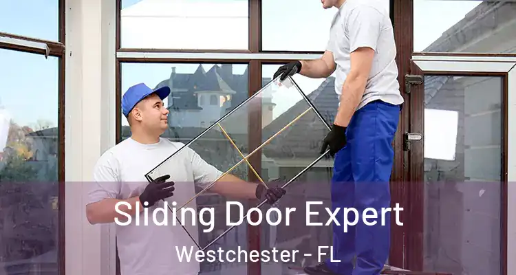  Sliding Door Expert Westchester - FL