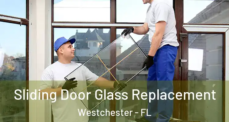  Sliding Door Glass Replacement Westchester - FL
