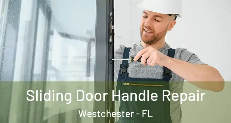  Sliding Door Handle Repair Westchester - FL