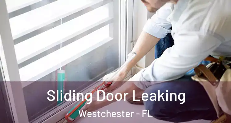  Sliding Door Leaking Westchester - FL