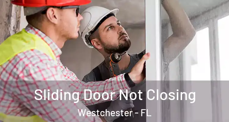  Sliding Door Not Closing Westchester - FL
