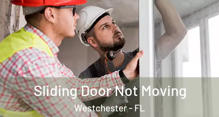 Sliding Door Not Moving Westchester - FL