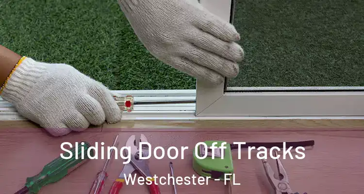  Sliding Door Off Tracks Westchester - FL