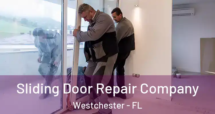  Sliding Door Repair Company Westchester - FL