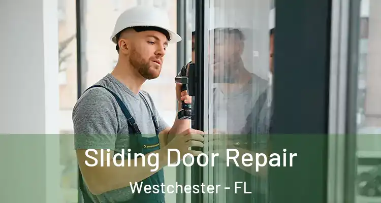  Sliding Door Repair Westchester - FL