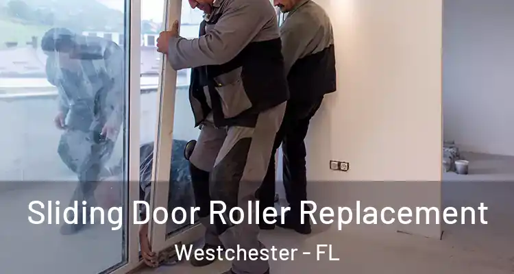  Sliding Door Roller Replacement Westchester - FL
