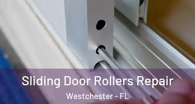  Sliding Door Rollers Repair Westchester - FL
