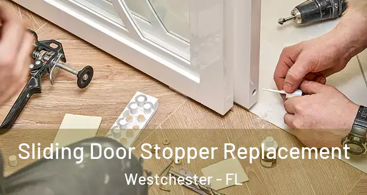  Sliding Door Stopper Replacement Westchester - FL