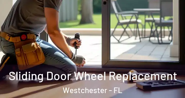  Sliding Door Wheel Replacement Westchester - FL