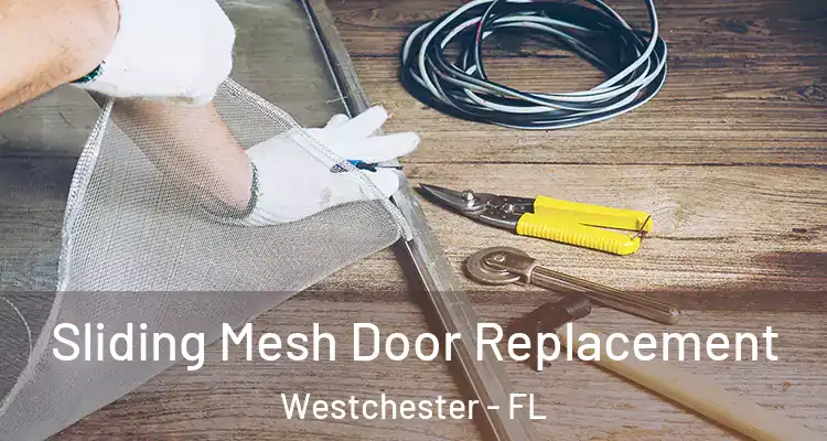  Sliding Mesh Door Replacement Westchester - FL
