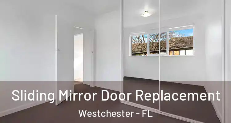  Sliding Mirror Door Replacement Westchester - FL