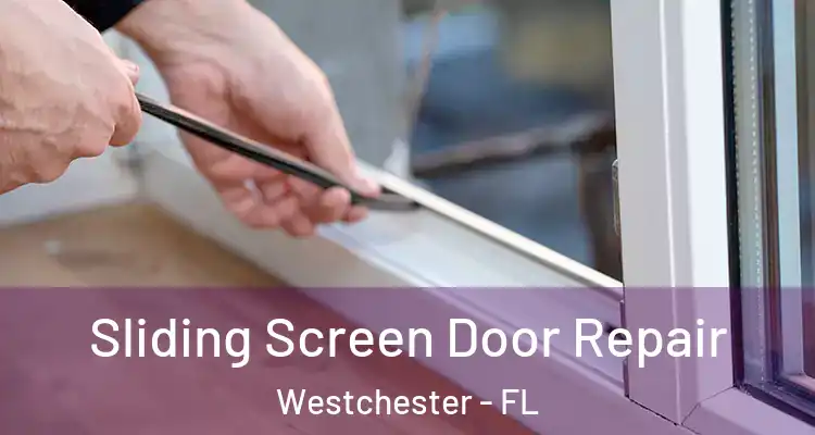  Sliding Screen Door Repair Westchester - FL