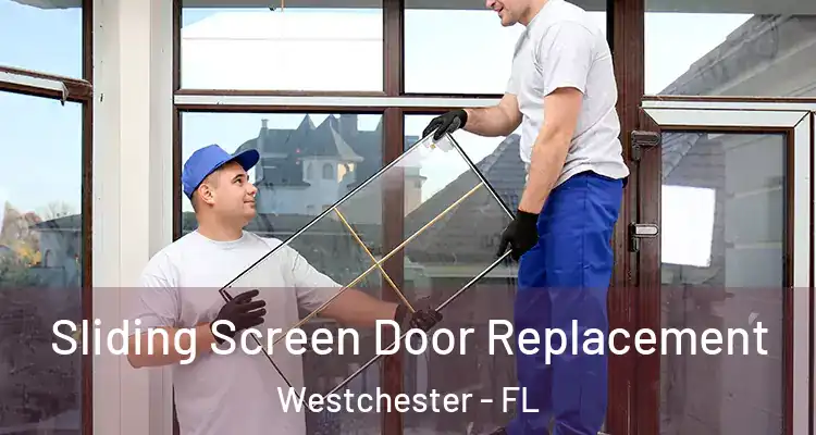  Sliding Screen Door Replacement Westchester - FL
