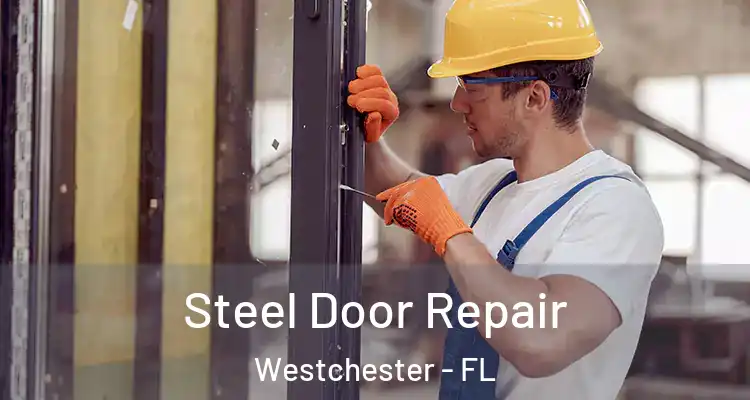  Steel Door Repair Westchester - FL