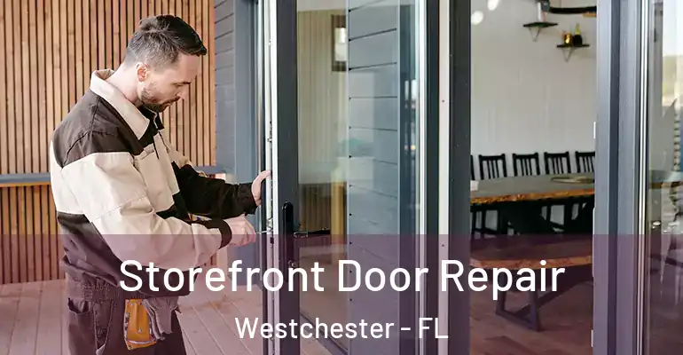  Storefront Door Repair Westchester - FL