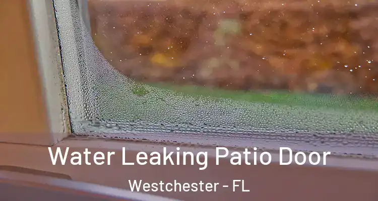  Water Leaking Patio Door Westchester - FL