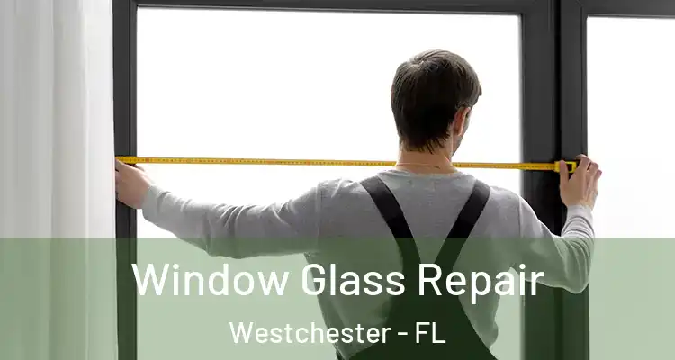  Window Glass Repair Westchester - FL
