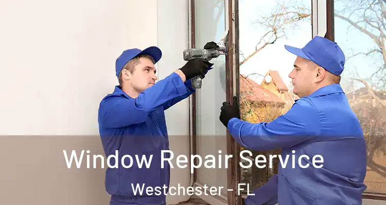  Window Repair Service Westchester - FL