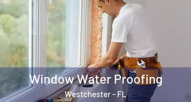  Window Water Proofing Westchester - FL