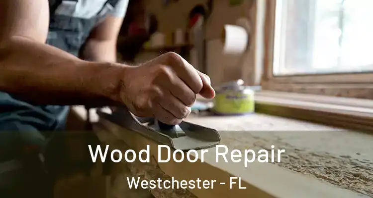  Wood Door Repair Westchester - FL